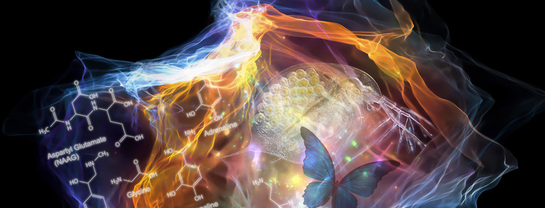 Colorful graphic of a cloud with various scientific symbols, e.g. cells and chemical elements, dark background
