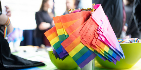Diversity & variety Paper rainbow flags on the table
