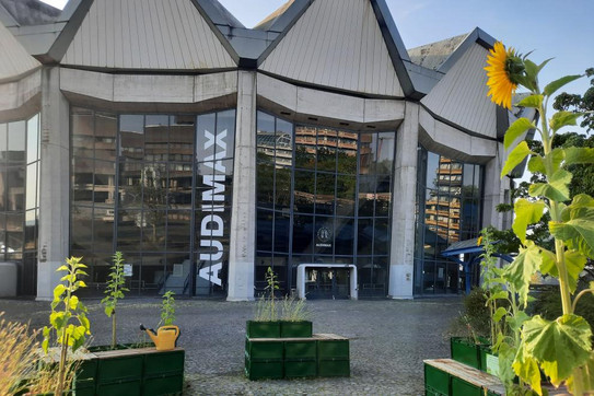 Vor dem Audimax der Ruhr-Universität sind Sonnenblumen in Kübeln zu sehen.