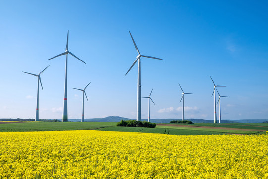 Slightly hilly landscape with a rape field in bloom in the foreground, a little further back are eight wind turbines